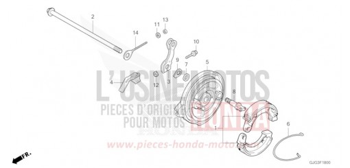 REAR BRAKE PANEL CRF50FP de 2023
